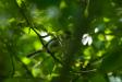 _IMG6517 copy.jpg